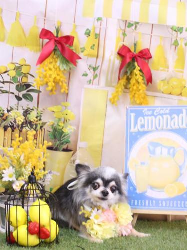 20240421クオンくん